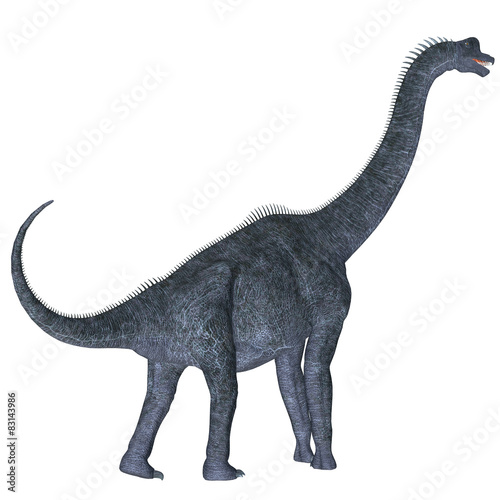 Brachiosaurus over White