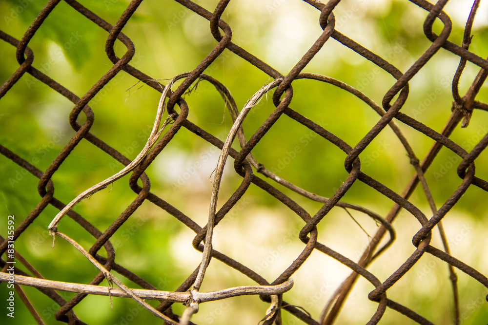 Fototapeta premium steel mesh, rusty iron mesh braided dry grass on a background of