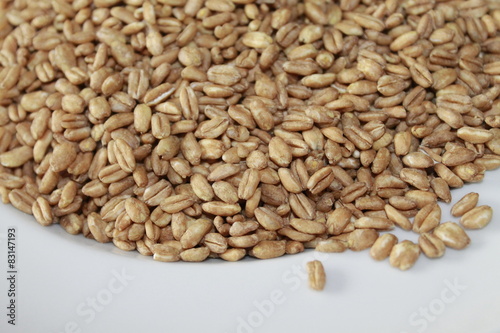 grain of farro raw photo