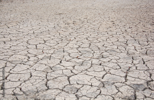 Dry land. Cracked ground background.