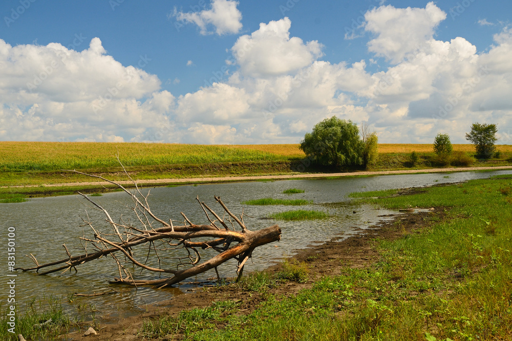 Rural summer river landscape