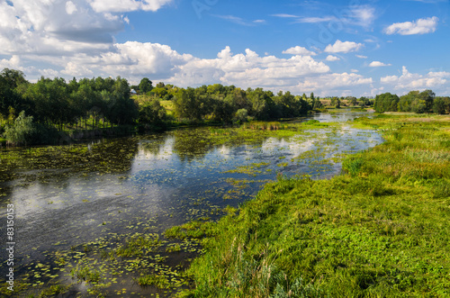 Fototapeta Naklejka Na Ścianę i Meble -  Rural river landscape