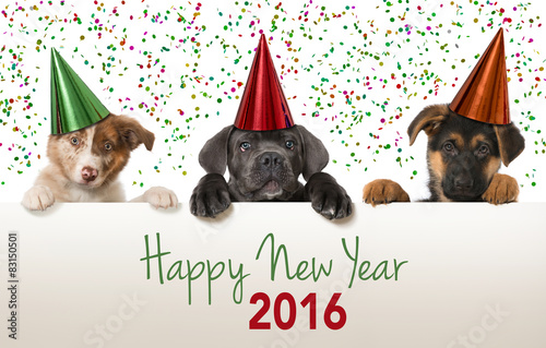 Fototapeta Naklejka Na Ścianę i Meble -  Happy New Year