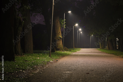 Ibirapuera park road at night