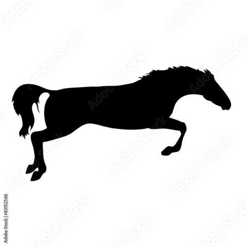 silhouette of a horse