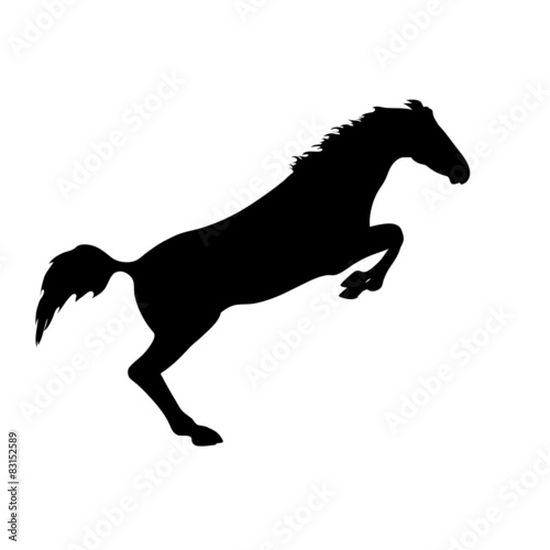 silhouette of a horse