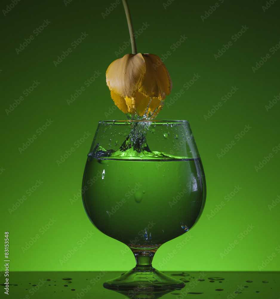 Obraz premium тюльпан и вода