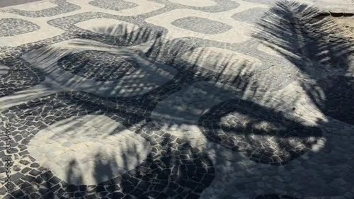 Ipanema Sidewalk Rio Palm Tree Shadows