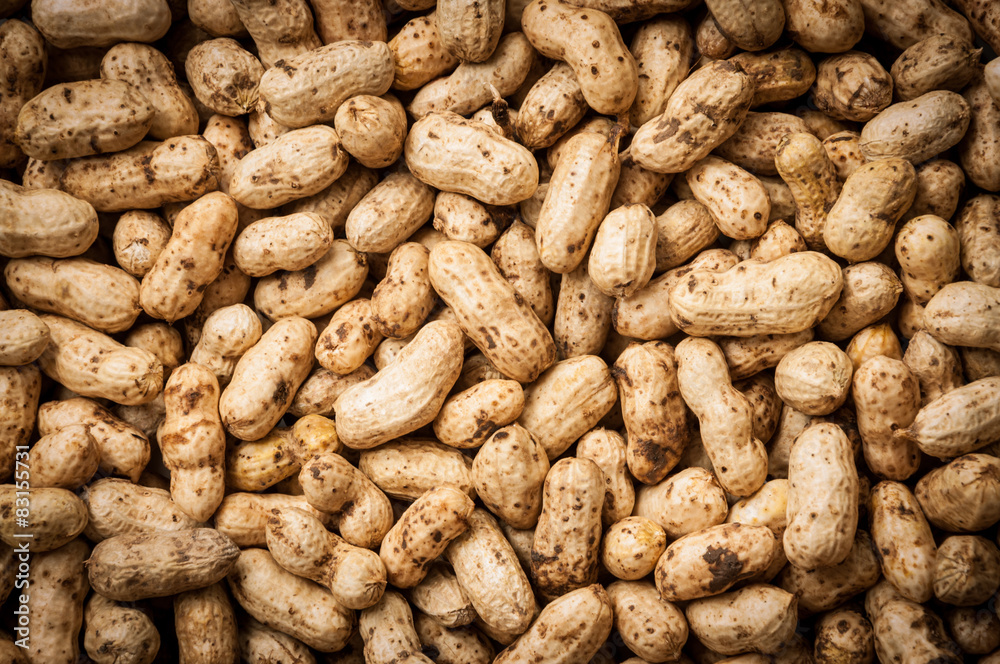Peanuts In Shells Peanuts In Shells