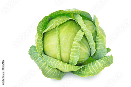 Canvas Print Cabbage isolated on white background