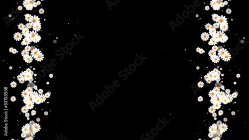 flowers frame, particles on a transparent background, loop