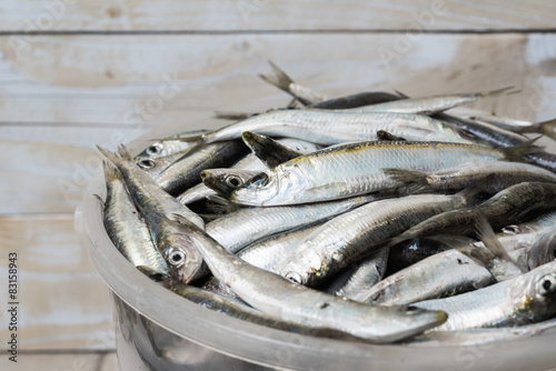 Bucket with fish