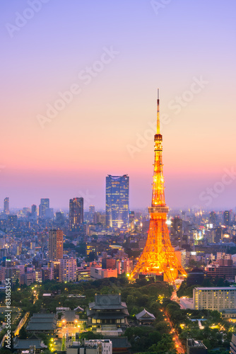 Aerial View of Tokyo City and Tokyo Tower