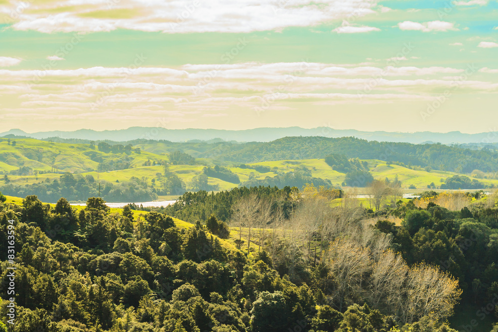 Mahurangi Regional Park New Zealand