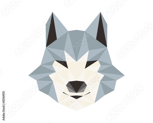 wolf financial accounting logo photo