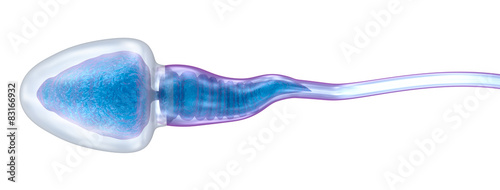 Fotografie Sperm illustration isolated over white