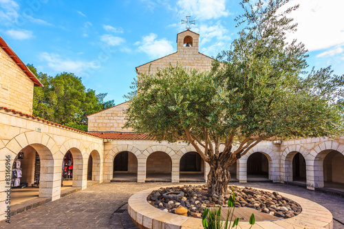 Fototapeta Naklejka Na Ścianę i Meble -   Round bed with olive tree