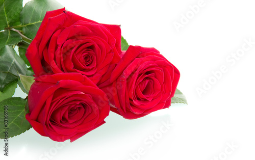 Beautiful three red roses