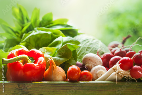 fresh organic vegetables photo