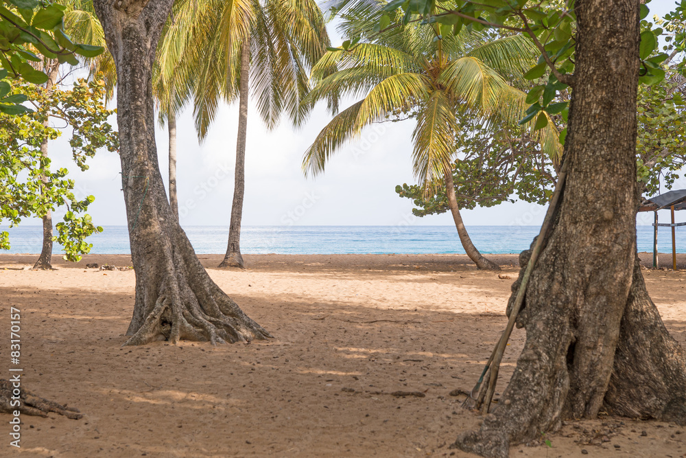 Plage de la Grande Anse in Deshaies, Guadeloupe Plage de la Grande Anse in Deshaies, Guadeloupe