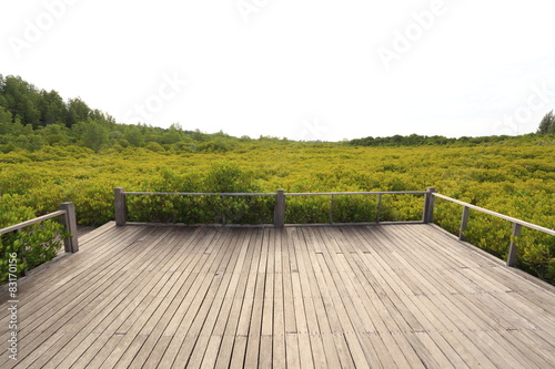Mangrove forest and wood bridge