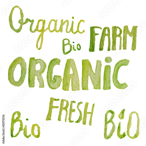 hand drawn bio green eco fresh organic cliparts set