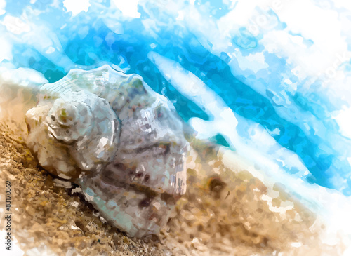 seashell on concrete