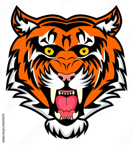 very enraged bengal tiger

