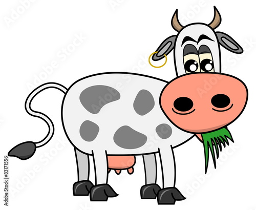 cow eating grass
