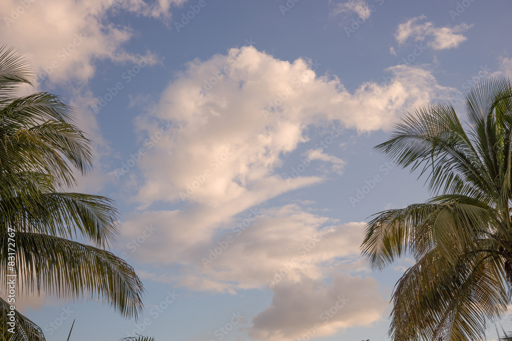 Wolken und Palmen