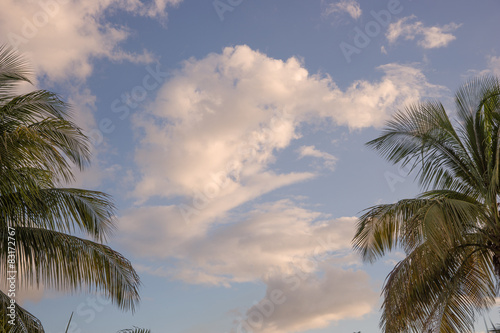 Wolken und Palmen © kelifamily