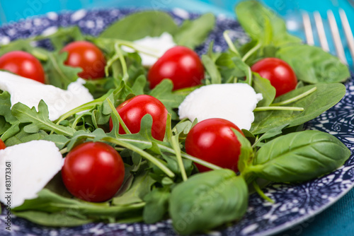Fresh italian salad with tomatoes and mozzarella on plate