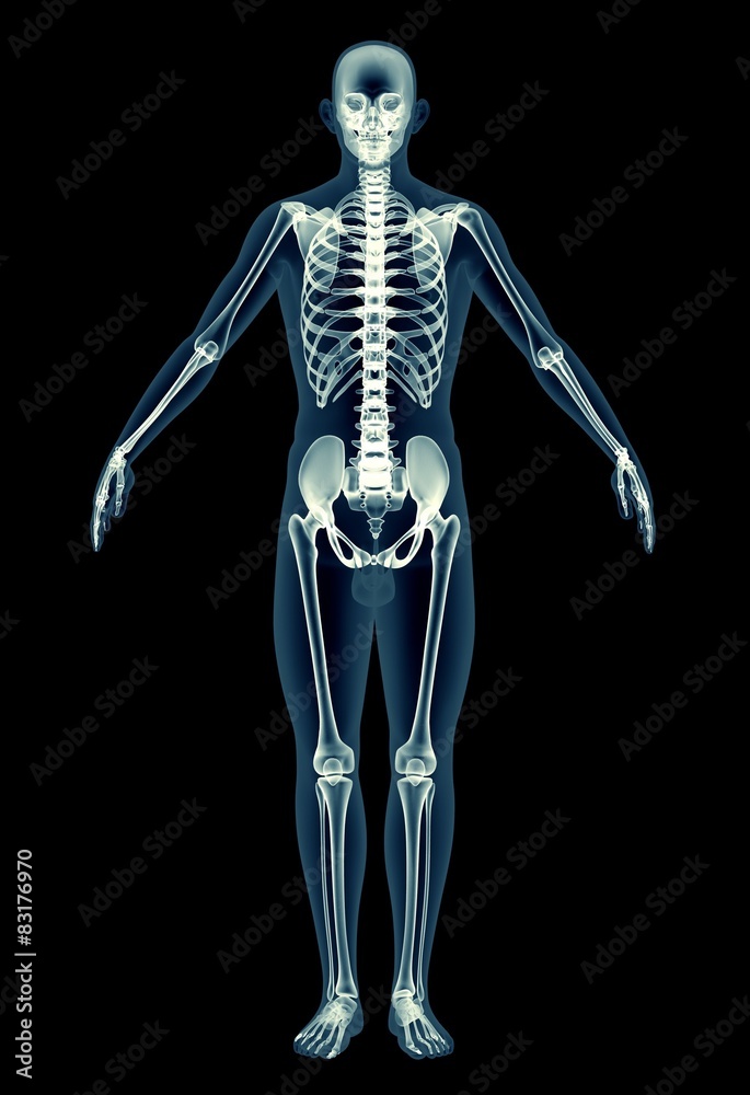 x-ray image of a man isolated on black