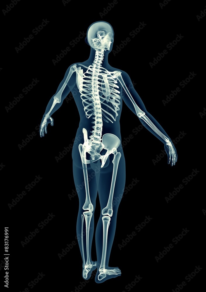 x-ray image of a man isolated on black