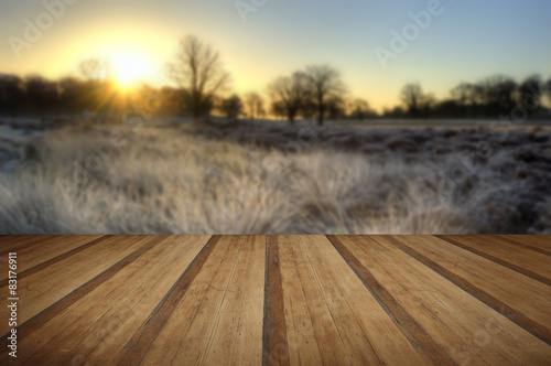 Frosty Winter landscape acr...