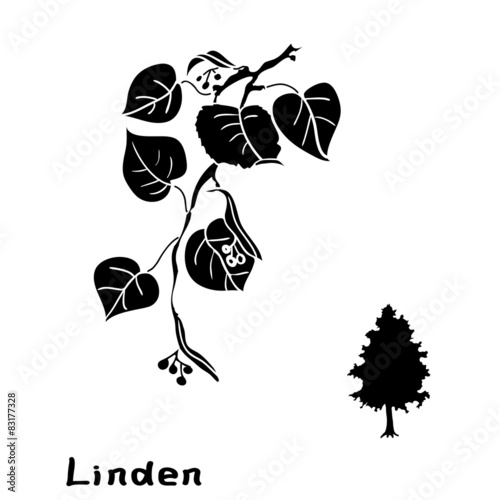 Set linden branches with leaves