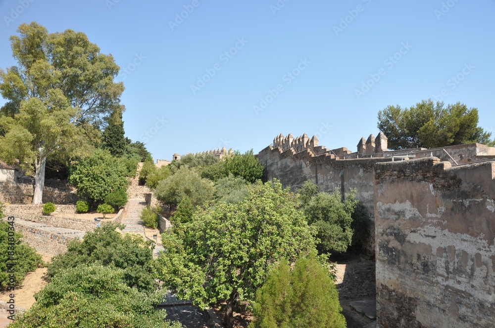 Fototapeta premium Gibralfaro Castle in Málaga