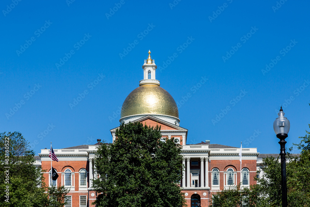 Gold Dome Beyond Green Tree