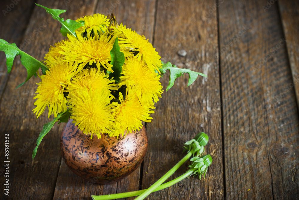 Fototapeta premium Yellow dandelion