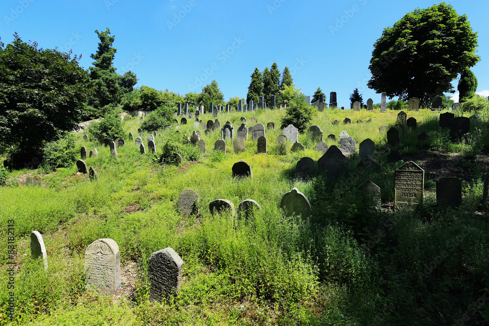 Tombstones on the old village Jewish Cemetery, Czech Republic