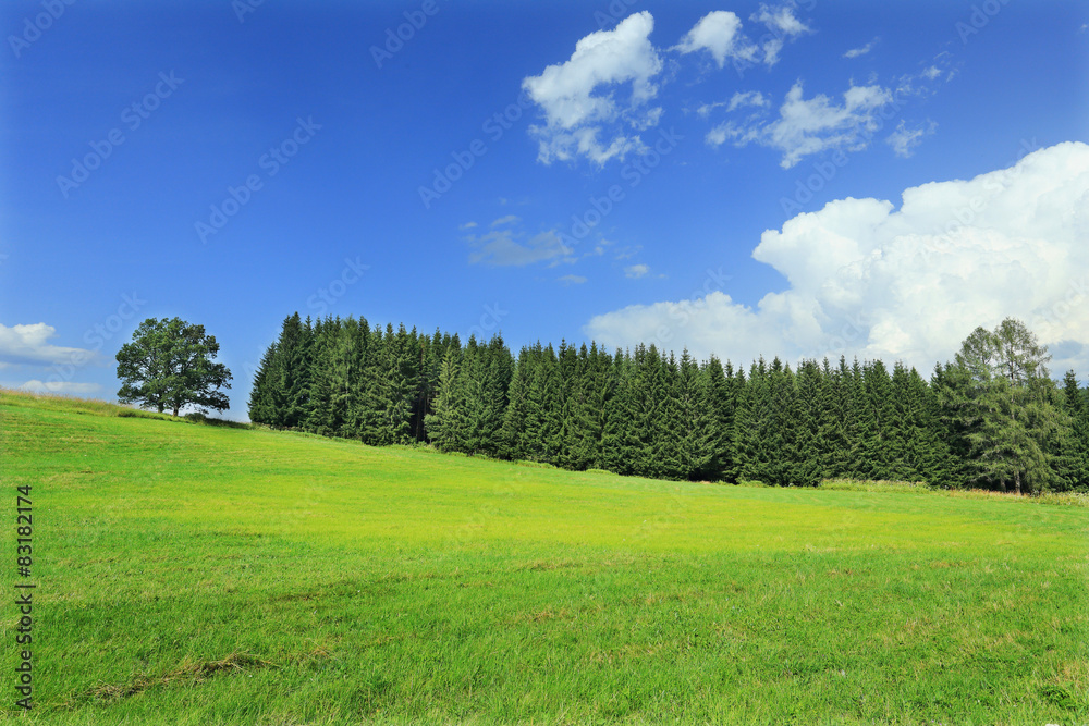 Beautiful Landscape from summer Mountains in southern Bohemia