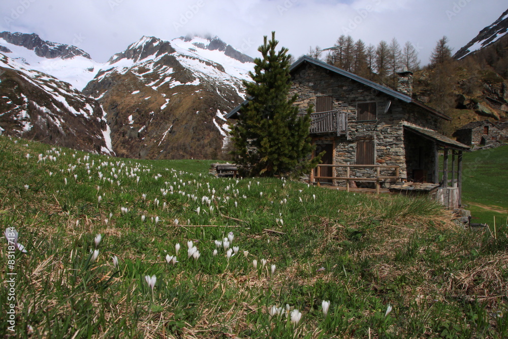 Alpe dell'Oro Alpe dell'Oro
