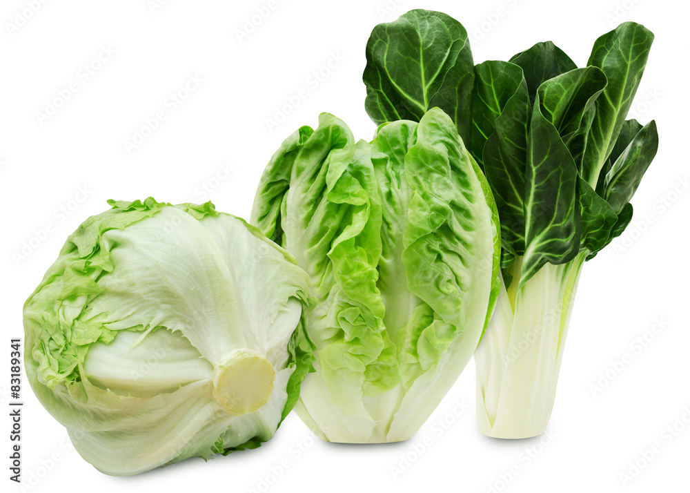 Set of three varieties of fresh salad lettuce isolated Set of three varieties of fresh salad lettuce isolated