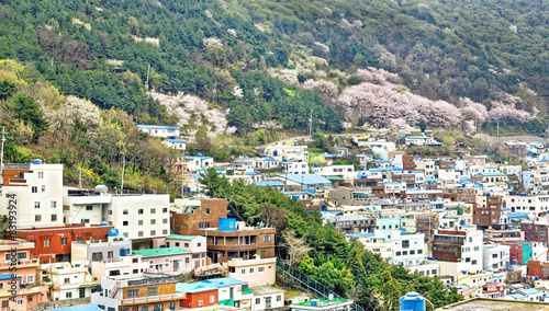 Gamcheon Culture Village, Busan © Cozyta