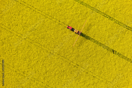 aerial view of yellow rape harvest fields with tractor