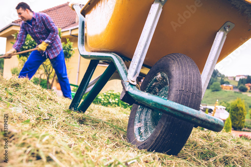 Canvas Print Wheelbarrow in the field and man raking on background