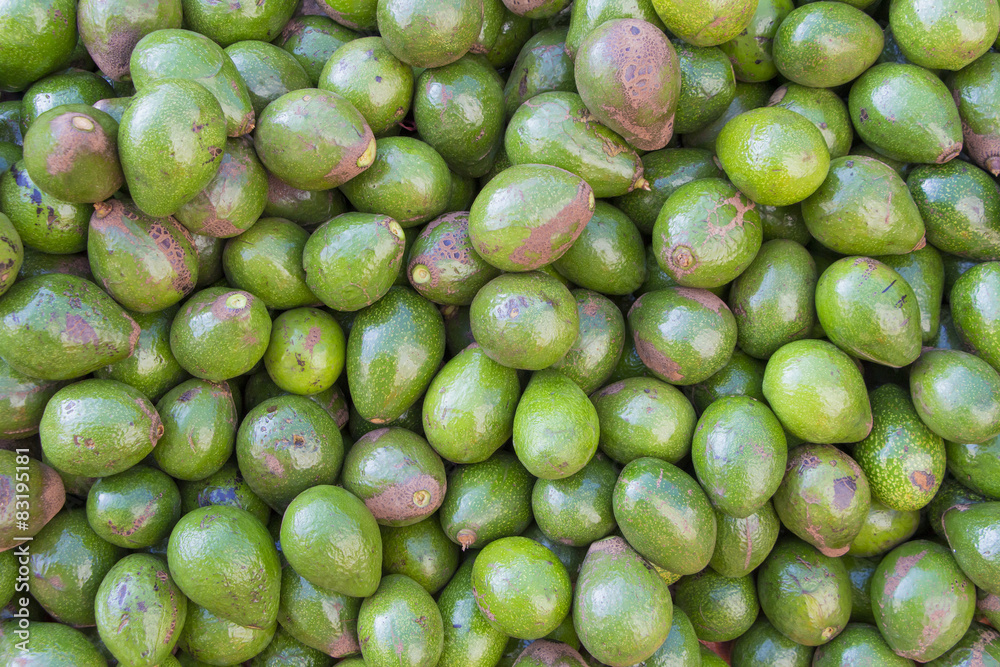 avocado background green asia vietnam street store avocado background green asia vietnam street store