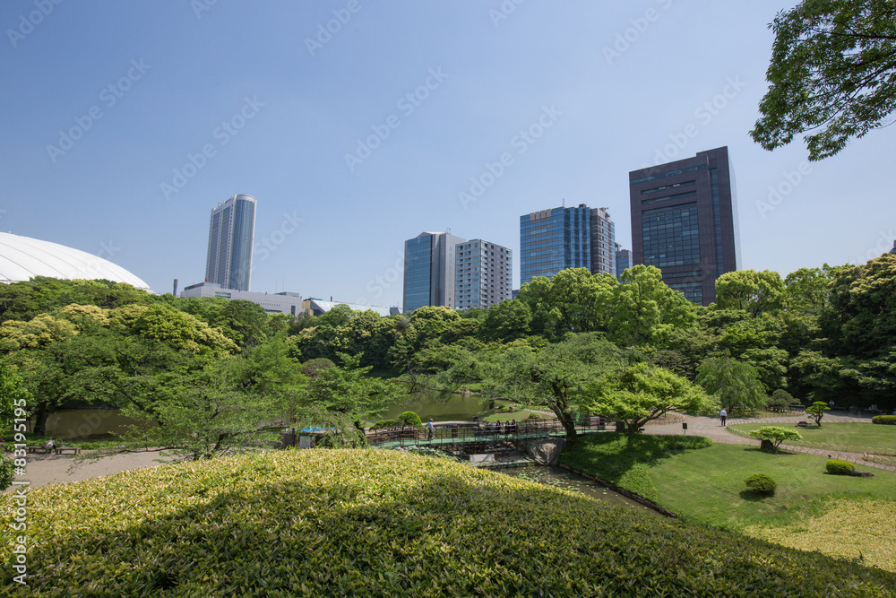 Fototapeta premium 小石川後楽園の風景を望む爽やかな自然景観