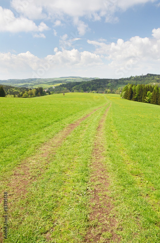 Country road in the field in Orlic mountains  Orlicke hory .