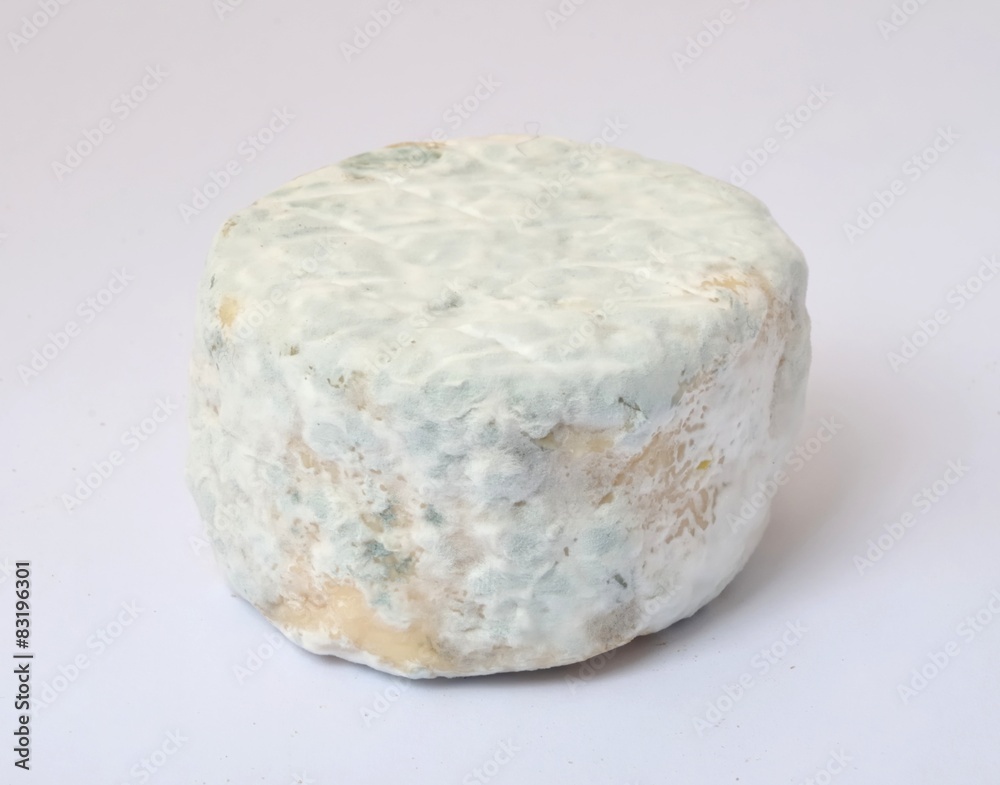 Close-up on goat cheese Close-up on goat cheese